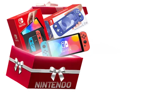 NINTENDO myster box